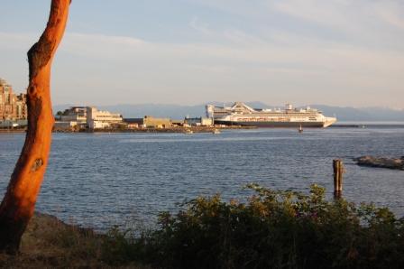 Cruise ship docked at Ogden Point, downtown Victoria